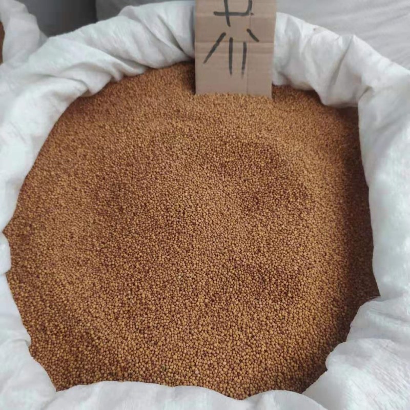 芥籽黄芥子各种规格接受订单可搭配多品种
