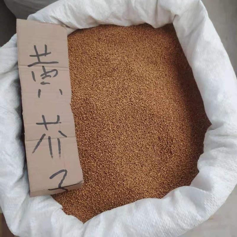 芥籽黄芥子各种规格接受订单可搭配多品种