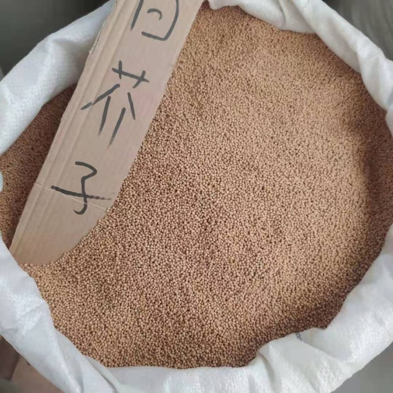 白芥子产地直供支持线上交易可搭配多品种采购大货联系