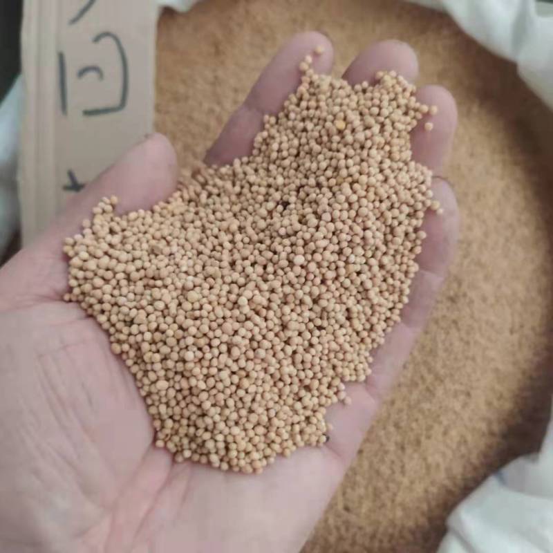 白芥子产地直供支持线上交易可搭配多品种采购大货联系