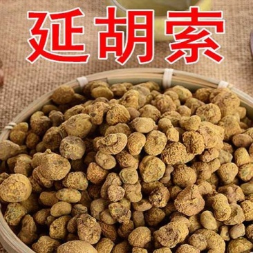 无硫元胡片中药材精选元胡粉玄胡延胡索醋元胡个