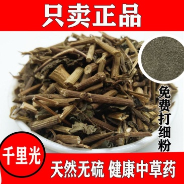 千里光中药材九里明九里光中草药野生千里及