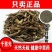 千里光中药材九里明九里光中草药野生千里及