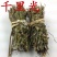千里光中药材九里明九里光中草药野生千里及