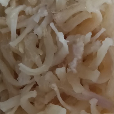 牛蹄筋副筋水发厂家直供，一手货源