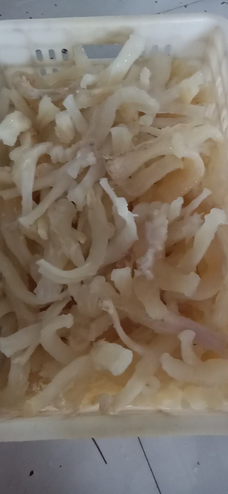牛蹄筋副筋水发厂家直供，一手货源