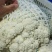 河北精品松花有机花菜白面青梗大量上市产地直供质量保证