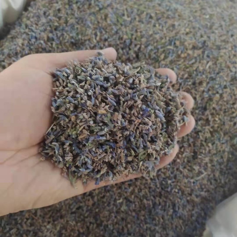 薰衣草各规产地直供可搭配多品种采购大货联系客服