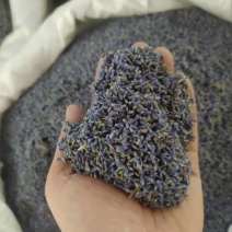 薰衣草各规产地直供可搭配多品种采购大货联系客服