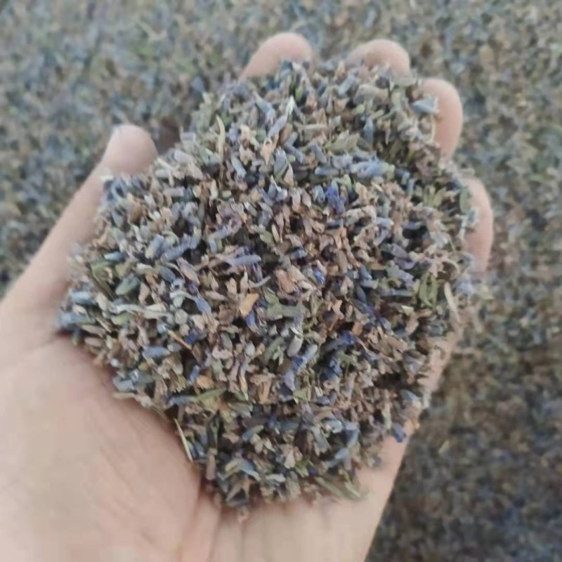 薰衣草各规产地直供可搭配多品种采购大货联系客服