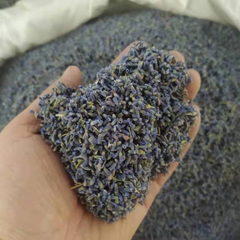 薰衣草各规产地直供可搭配多品种采购大货联系客服