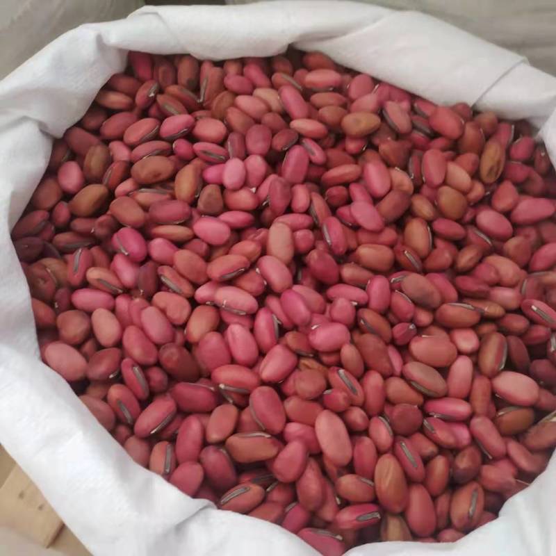 刀豆挟剑豆刀豆子大弋豆刀鞘豆刀巴豆马刀豆刀培豆