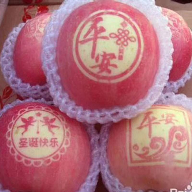 山东红富士苹果，一件代发，对接电商团购，欢迎采购，可对公