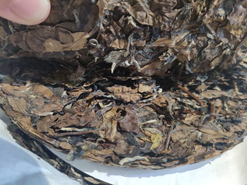 2012年福鼎高山老白茶(大白)