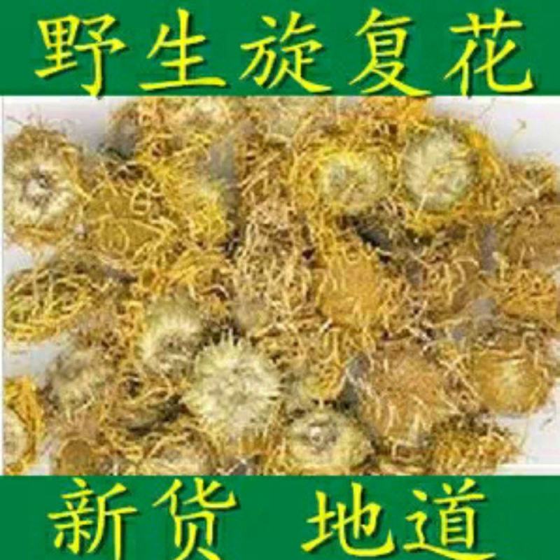 旋覆花金佛花金佛草六月菊旋复花中药材道地量大从优