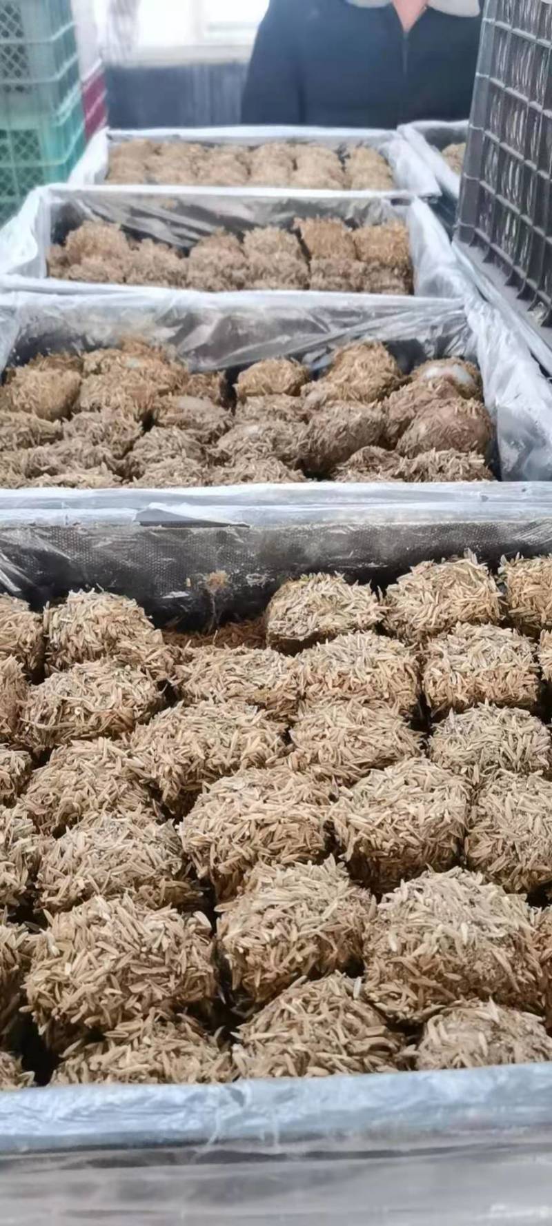 松花蛋、皮蛋、真空蛋质量非常好礼盒，散装都可以欢迎订购