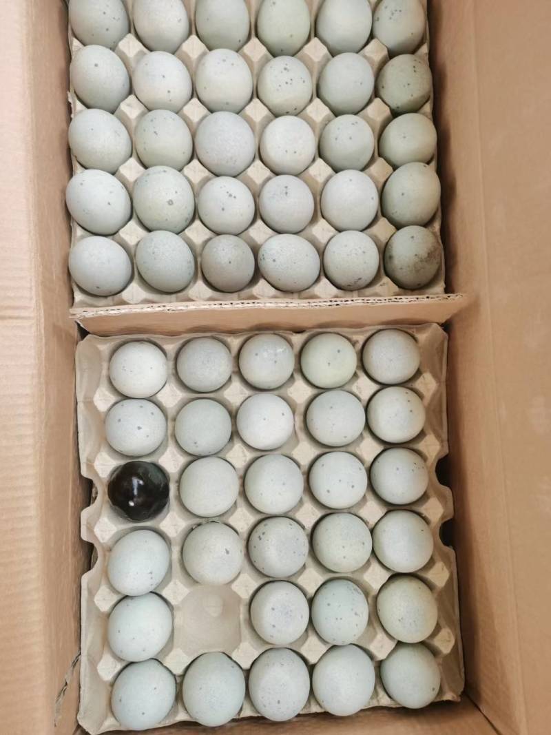 松花蛋、皮蛋、真空蛋质量非常好礼盒，散装都可以欢迎订购