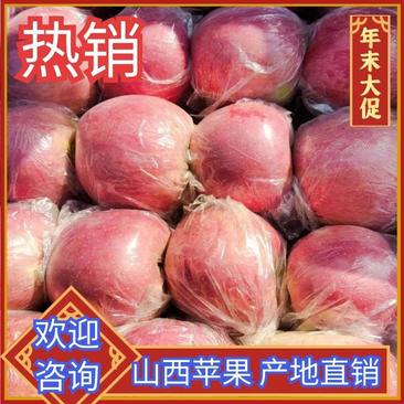 山西万荣纸加膜红富士，膜袋红富士、羊奶苹果全年供应。