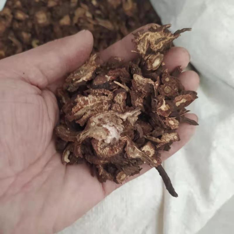 羌活产地直供可搭配多品种采购大货联系客服
