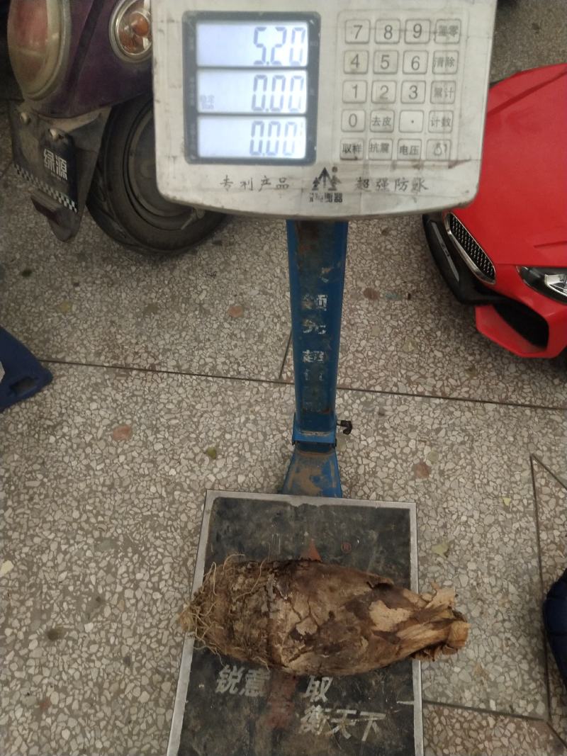 自产自销，荔浦槟榔芋头香芋，正宗有保障