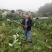 自产自销，荔浦槟榔芋头香芋，正宗有保障