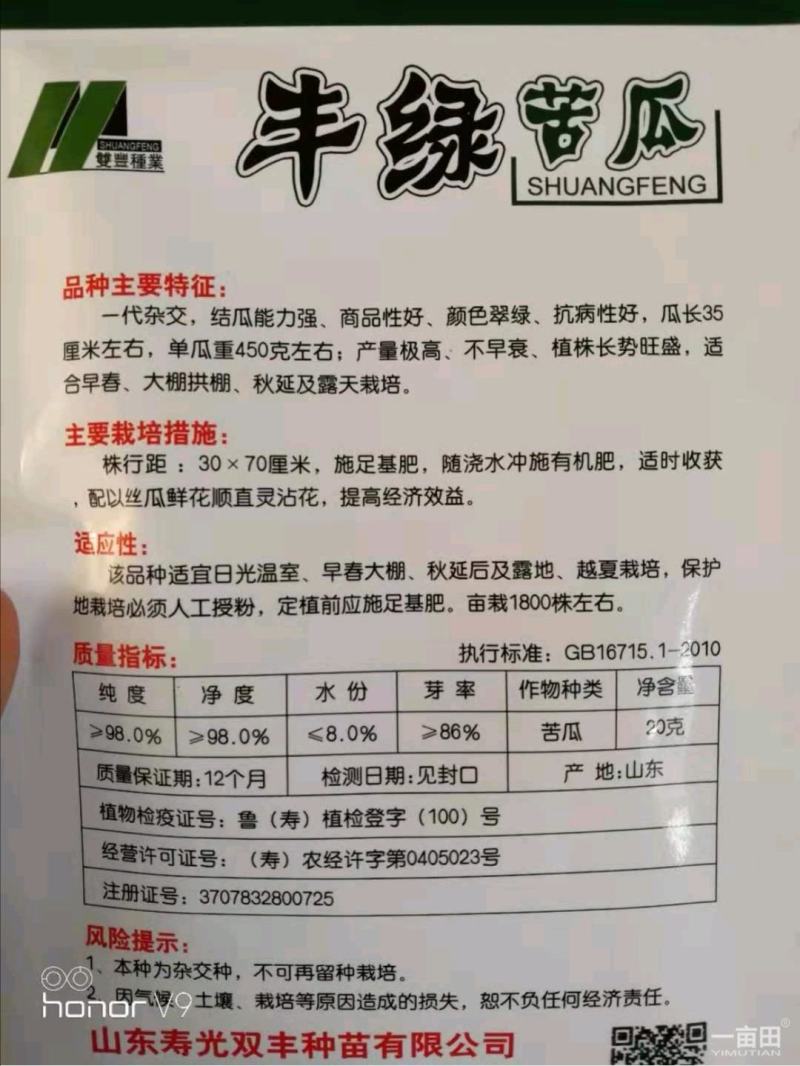 绿苦瓜种子果长40左右果肉厚硬度强耐储运100粒