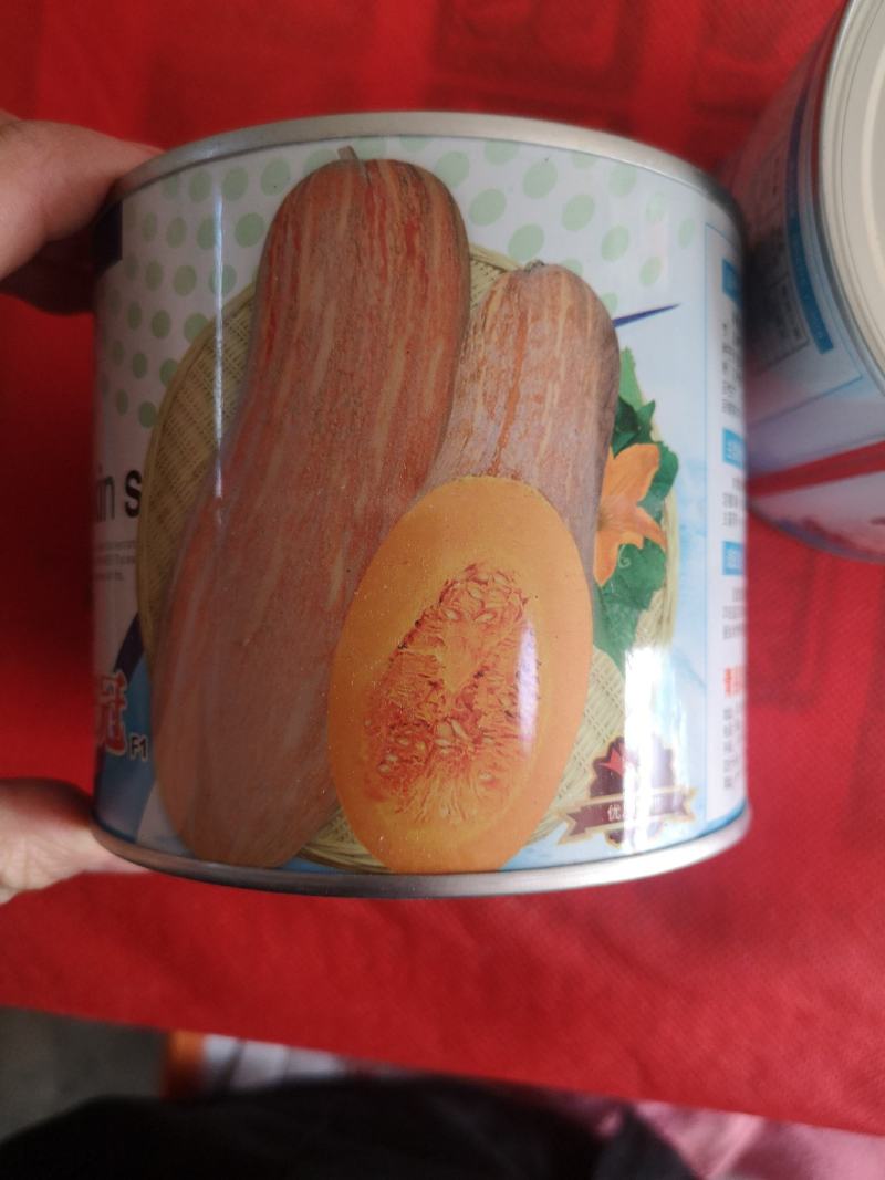 【量大优惠】密本南瓜种子早熟品种耐低温能力强高抗病