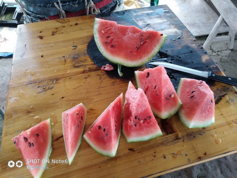 精品大棚麒麟西瓜，大掉价，便宜，现摘现发，无中间商赚差价