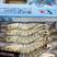生冻黑虎虾全规格，550克/盒，一件10盒，上海现货