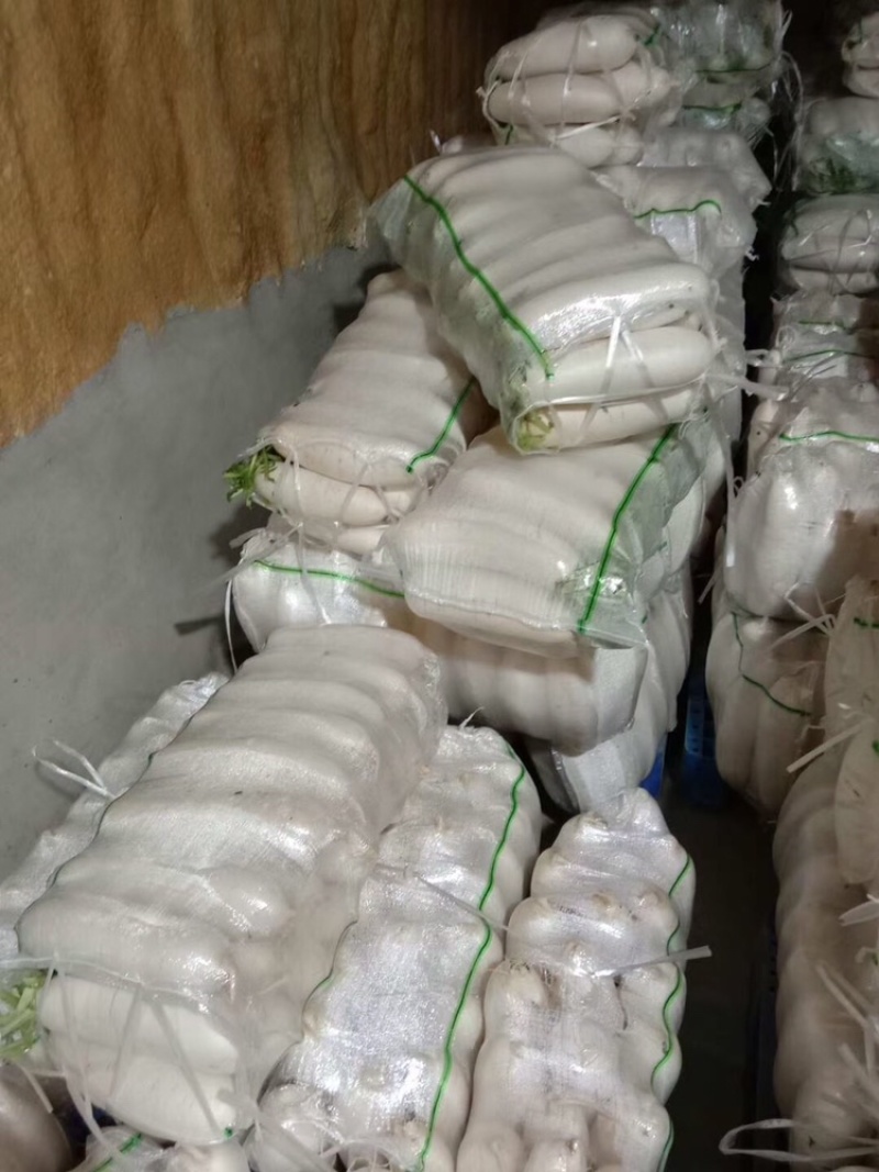湖北白萝卜精品白萝卜农家自种萝卜现摘现卖