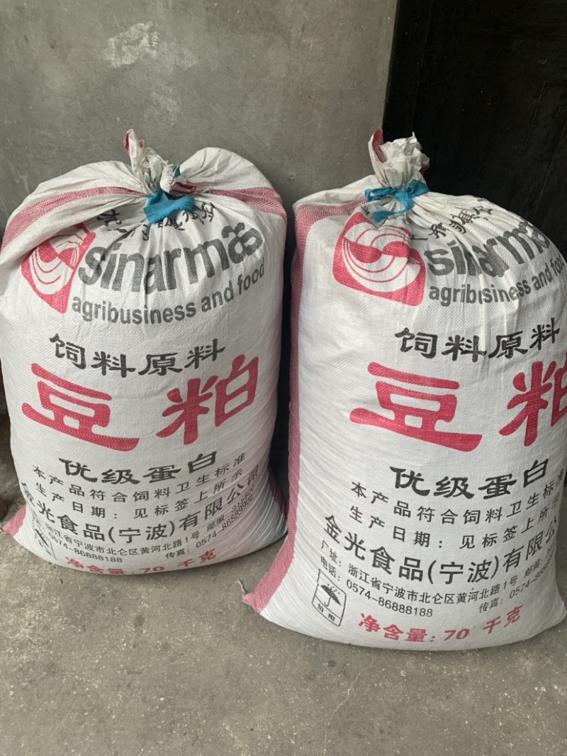 三角枫种子三角枫种子三角枫种子三角枫种子。枫树种子