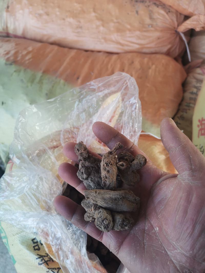 干洋姜菊芋干鬼子姜干整棵精品菊芋干，无硫，带硫都有！