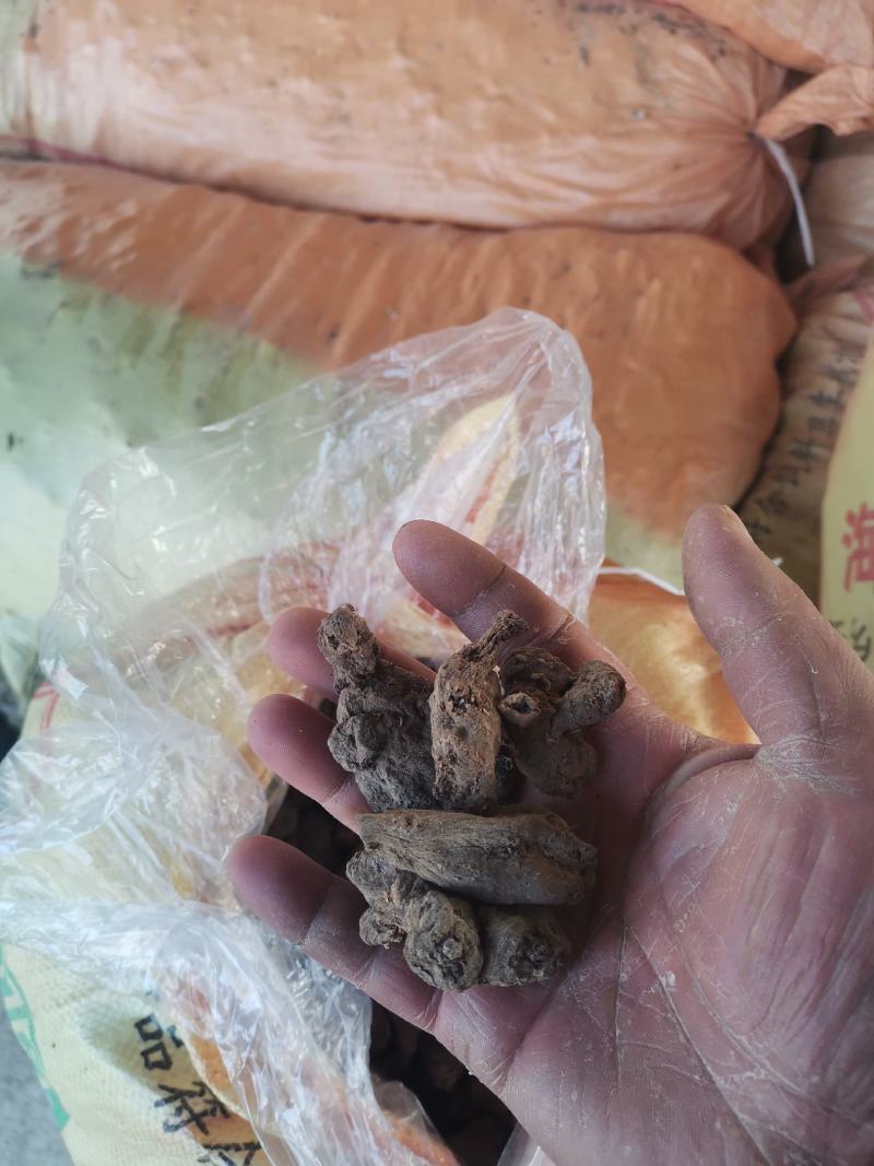 干洋姜菊芋干鬼子姜干整棵精品菊芋干，无硫，带硫都有！