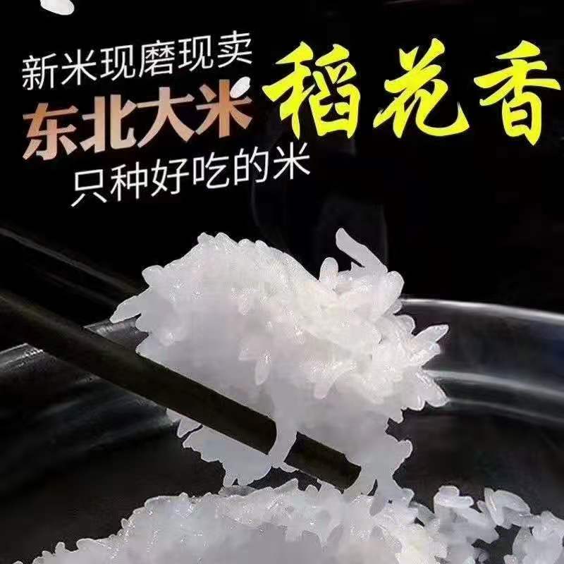 五常正宗大米稻花香二号真空5kg一件代发大米产地直供