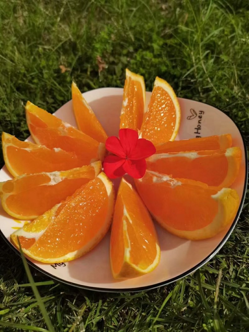 【蜜桔】柑桔，个大皮薄，颜色火红，汁多味甜，一手货源