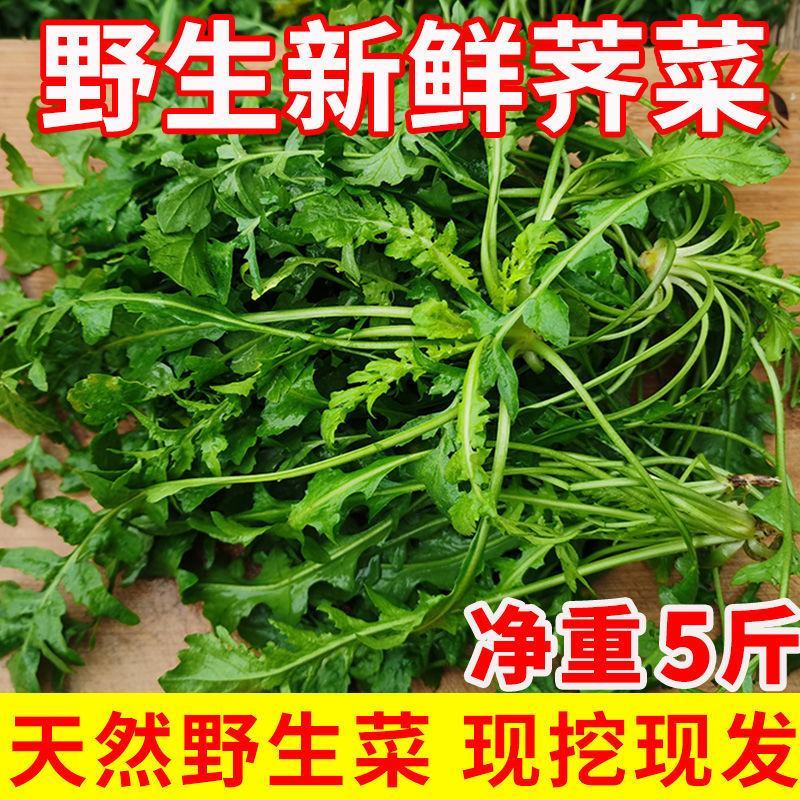 现挖农家野菜荠菜纯野生新鲜蔬菜地菜饺子馄饨馅包邮冷冻地丁
