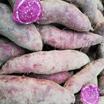 紫薯紫罗兰紫薯瑶山紫薯