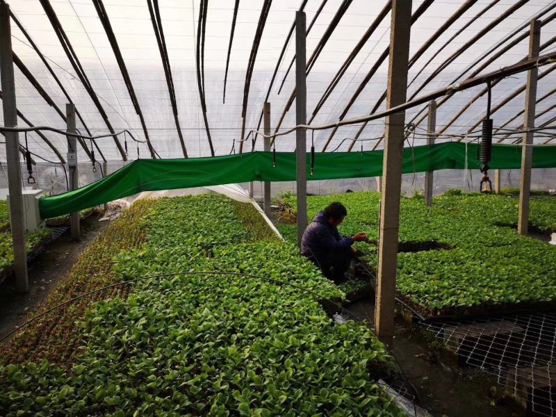 电暖风机种植加温养殖加温