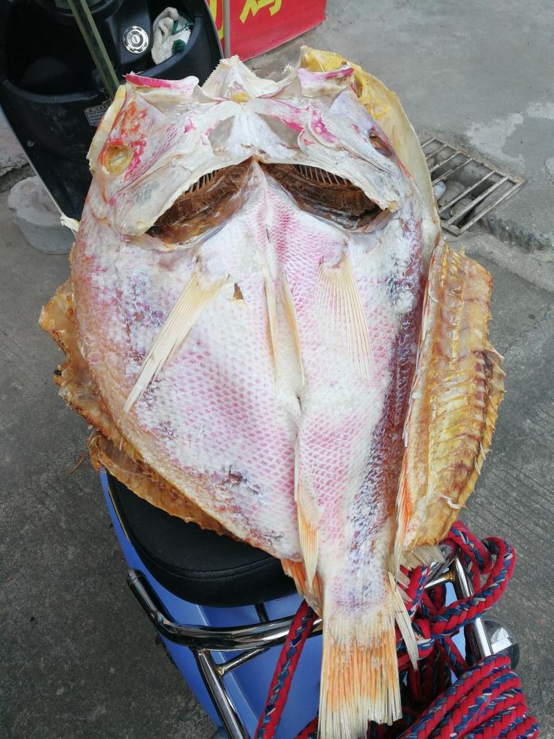 红鱼干深海大红鱼发财鱼开片红鱼2-8斤大小任选