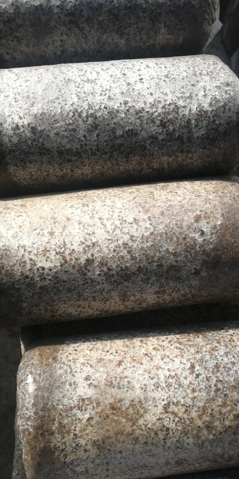 平菇菌棒，大量现货出售