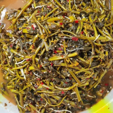 云南普洱腌制青菜苔菜花