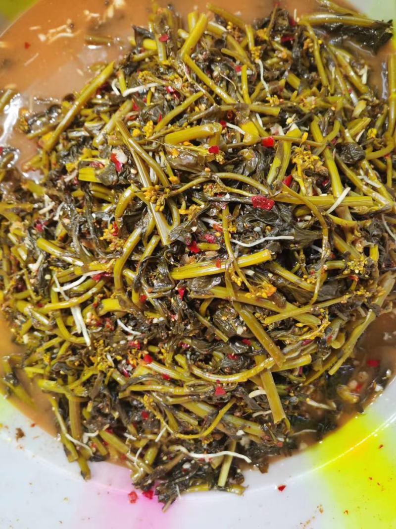 云南普洱腌制青菜苔菜花