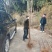 各个大品牌的车厘子。