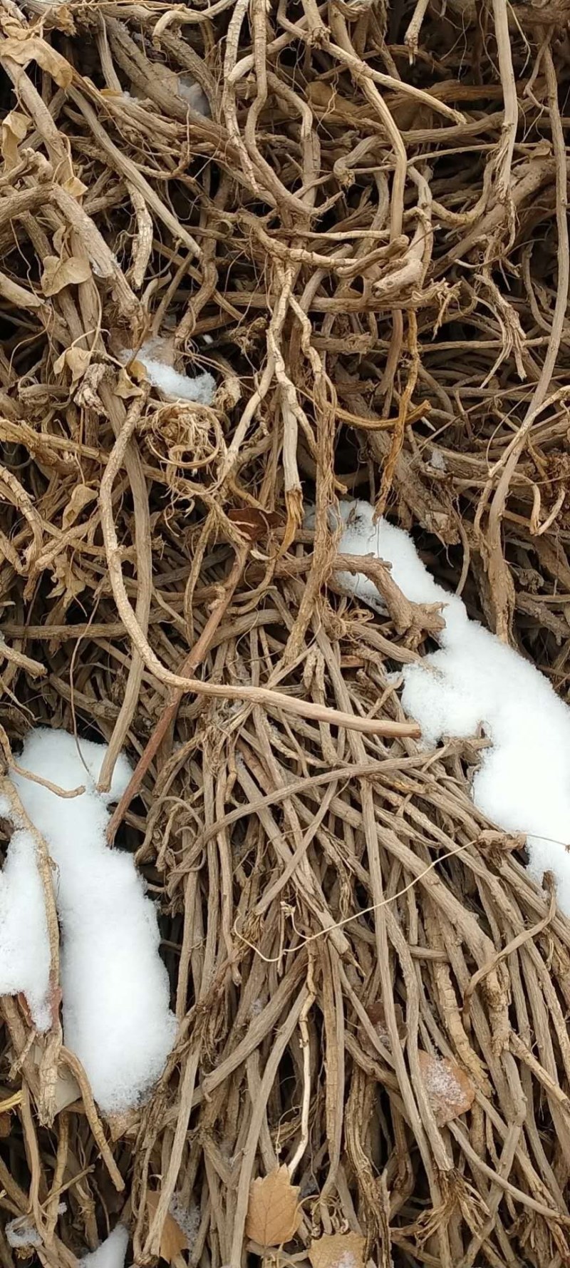 甘草保证质量买家让你满意