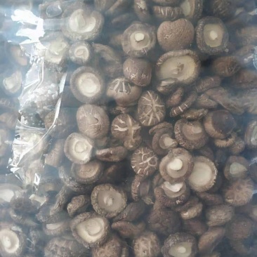 自己基地的干香菇，质量好