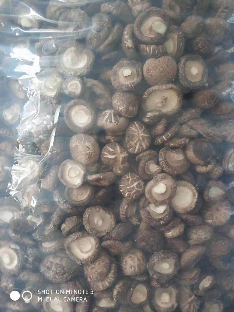 自己基地的干香菇，质量好