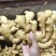 河北【大黄姜/红芽鲜姜】沙土姜水洗姜风干姜/存库