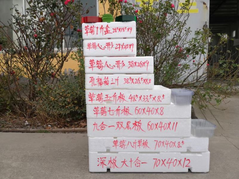 草莓泡沫箱草莓包装