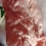 新鲜冷冻猪板油欢迎抢购