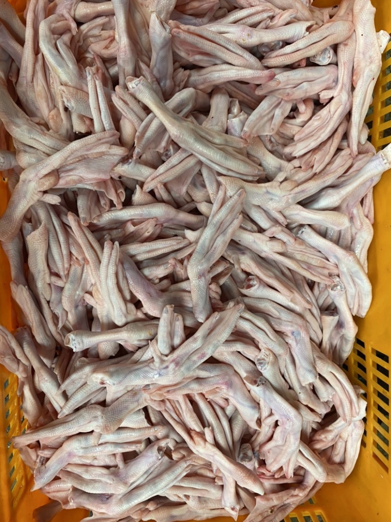鸭掌，标件新鲜鸭掌，标件冷冻鸭掌………………